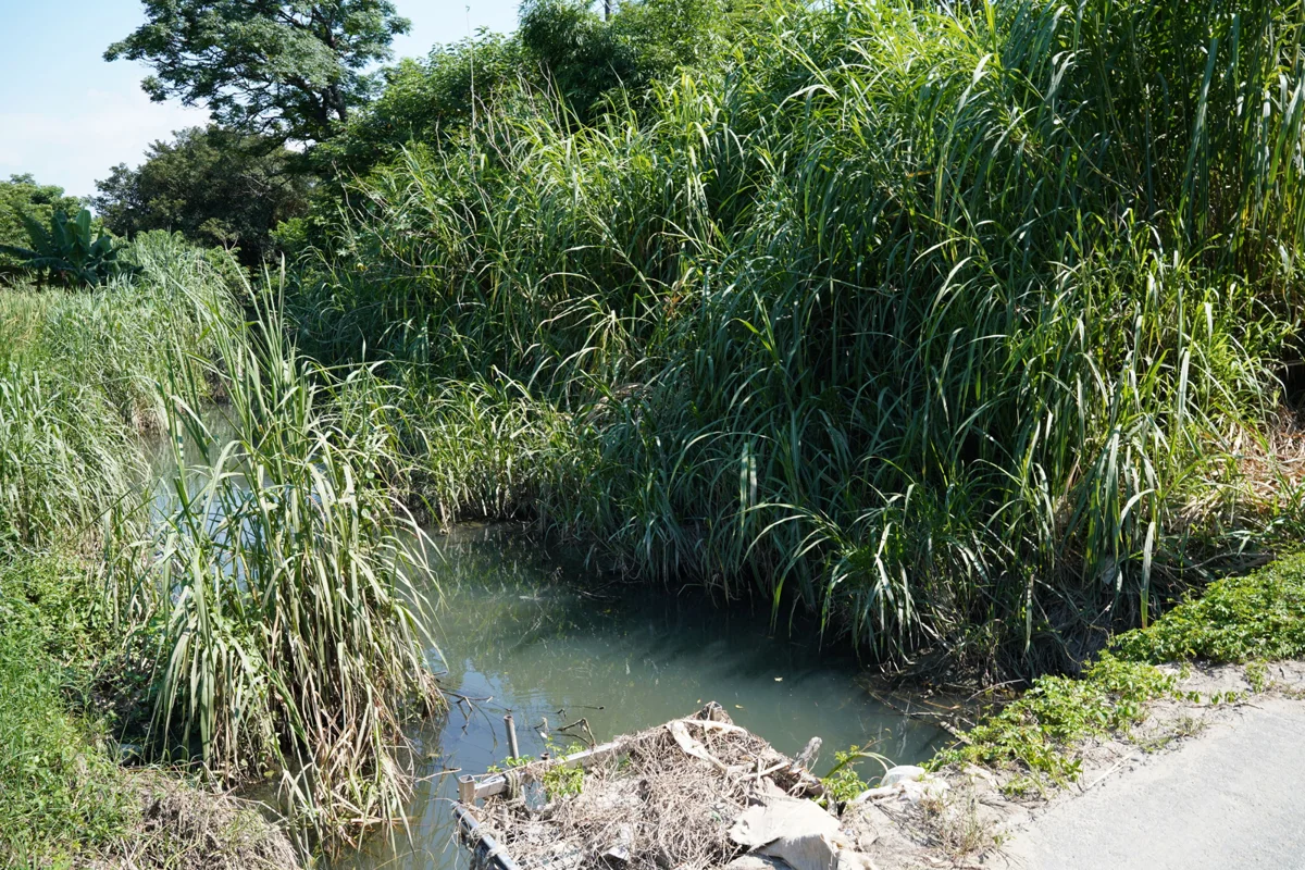 圖片來源:新竹縣政府