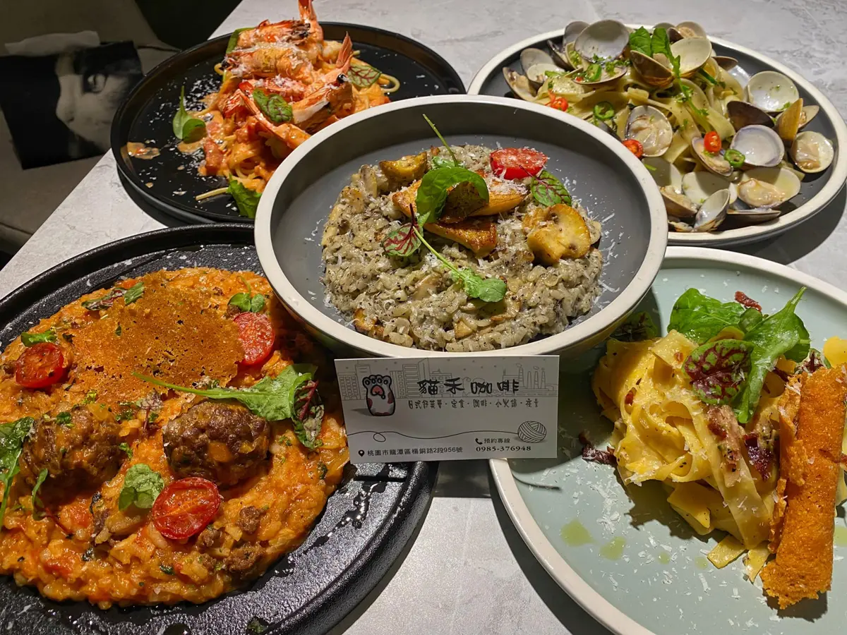 桃園夜景秘境「貓禾景觀咖啡」爆紅 療癒貓咪、精緻美食吸粉無數