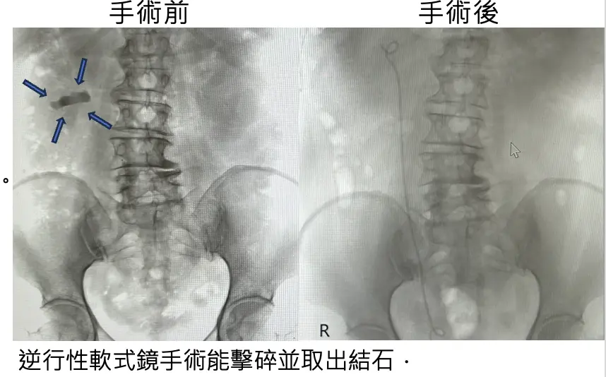 圖片來源:臺北市政府