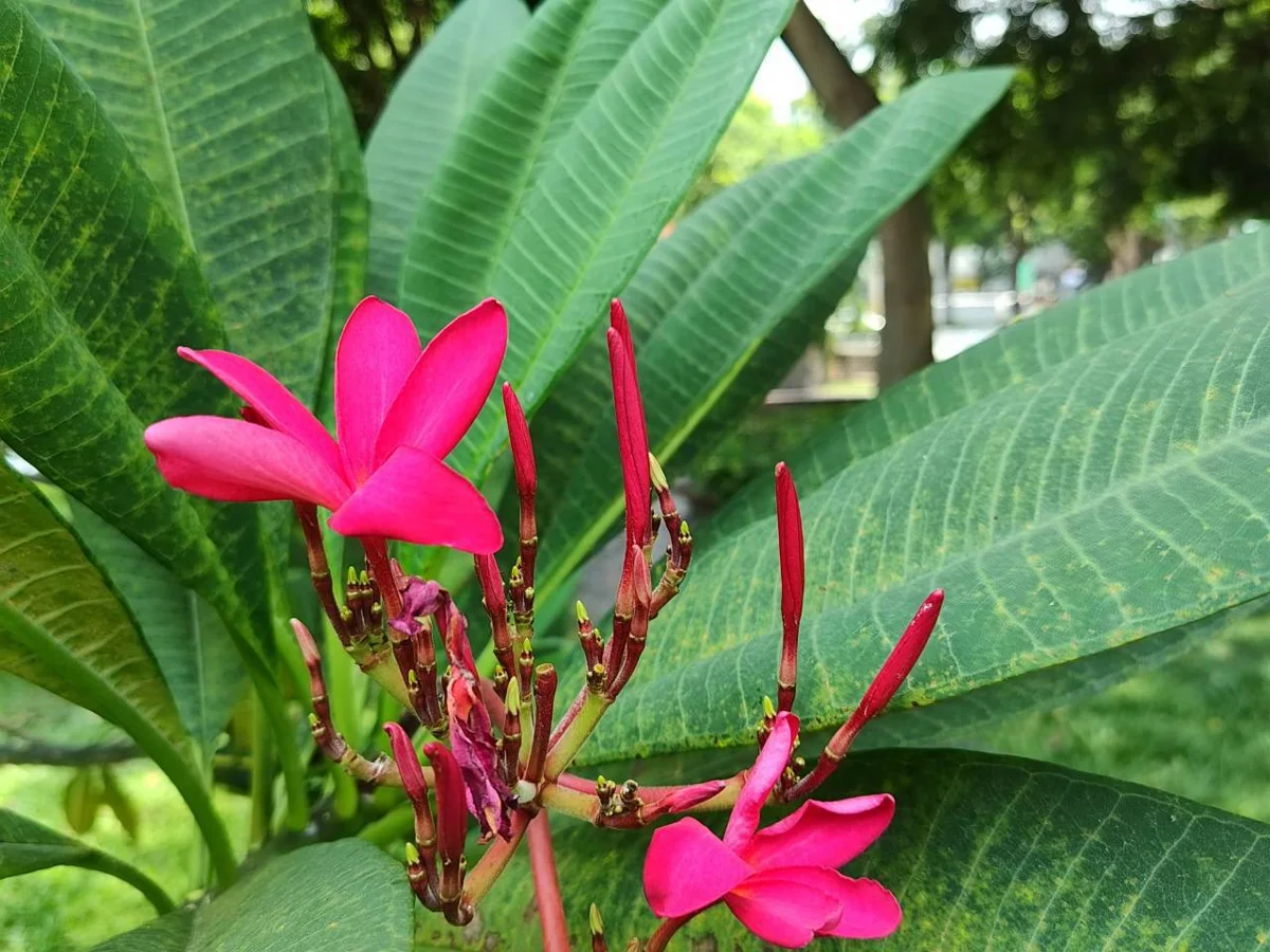 圖片來源：臺北市政府
