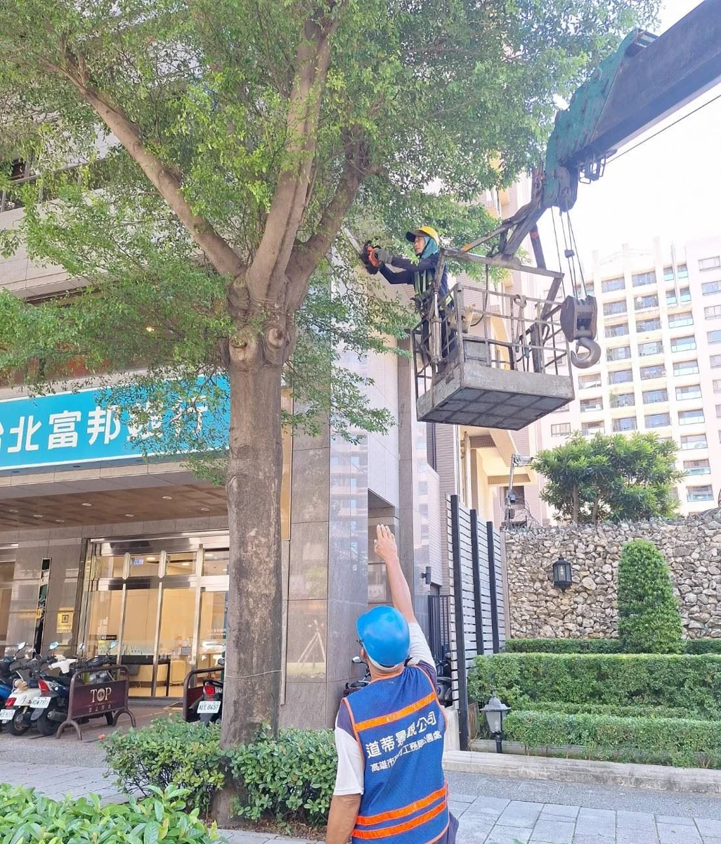 圖片來源:高雄市政府