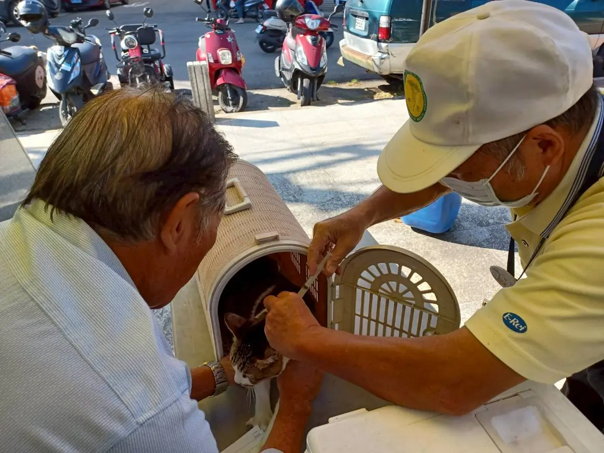 台中飼主注意!5月起17場巡迴開跑,毛孩狂犬病疫苗、晶片全都免費