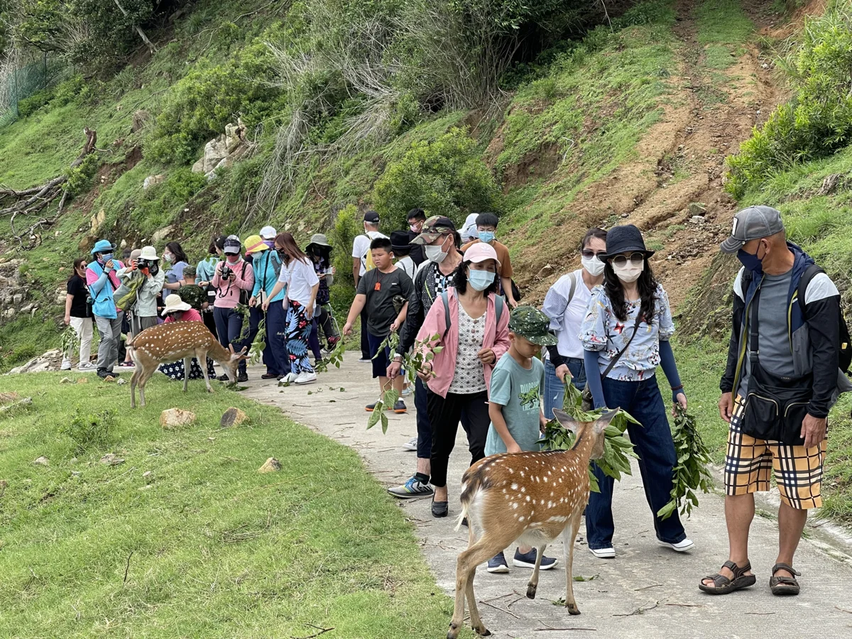 【2026最新】第四屆馬祖國際藝術島啟動籌備!縣長赴台拜會3大推手,延續十年文化願景