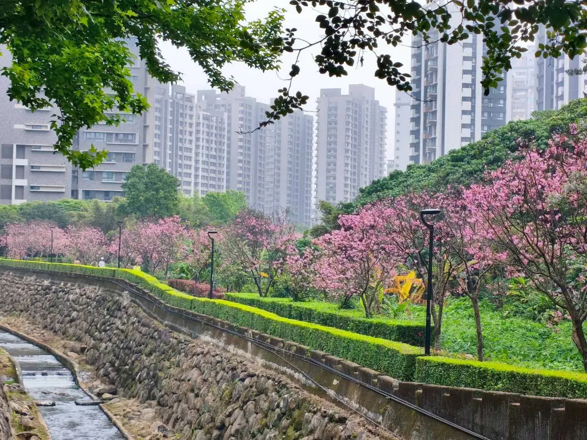 圖片來源:新北市政府