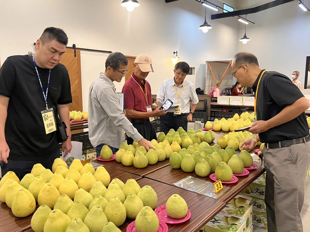 圖片來源：臺南市政府