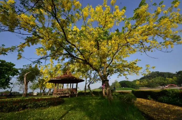 台南旅遊補助秒殺!觀旅局證實5月再加碼,平日入住中獎機率「翻倍」攻略大公開