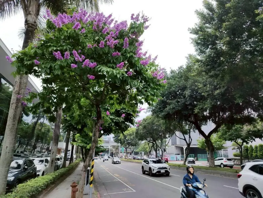 圖片來源:臺北市政府