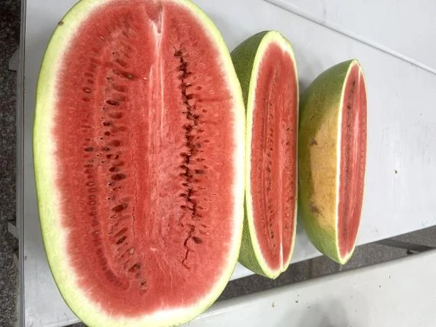 圖片來源:新竹縣政府