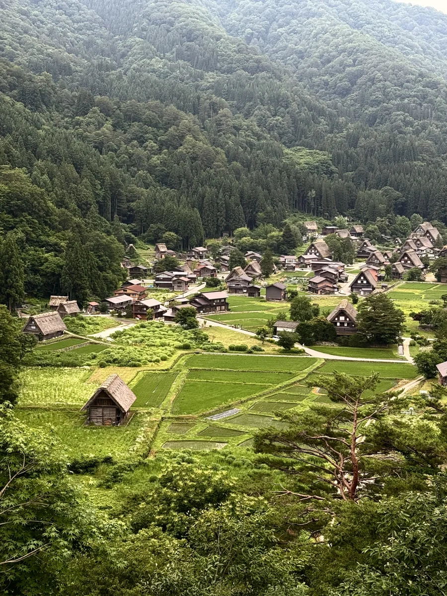 圖片來源:臺中市政府
