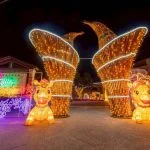 圖片來源：南投旅遊網-活動