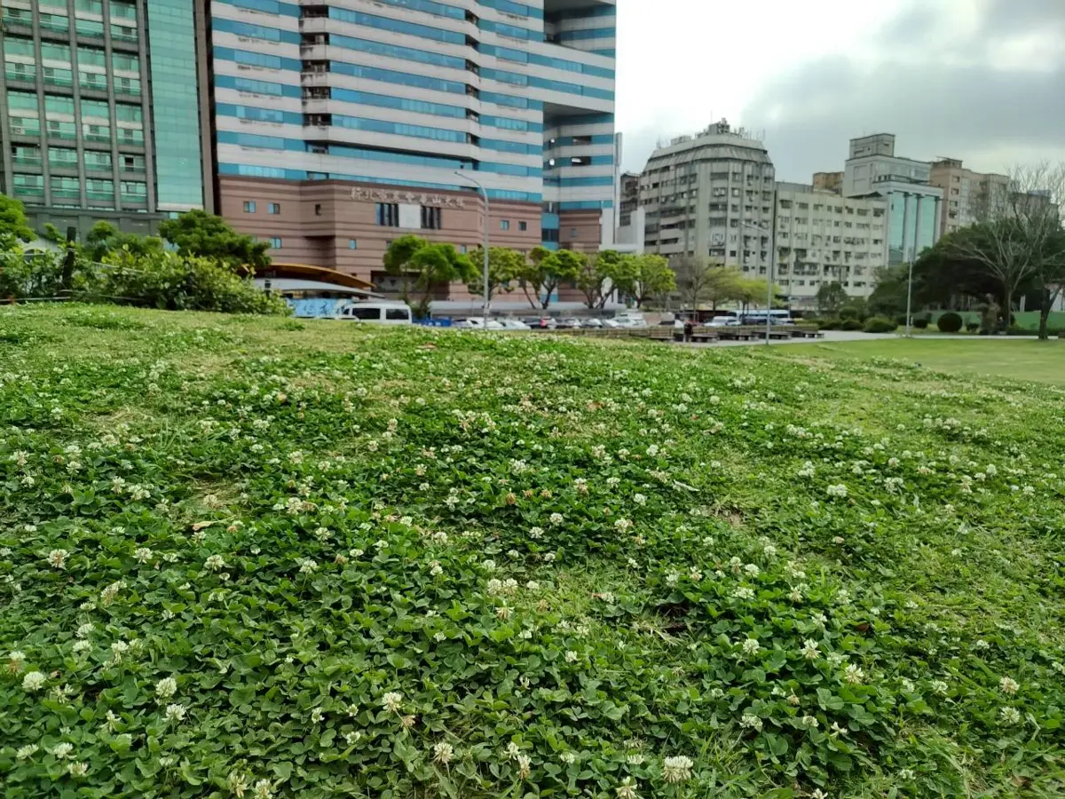 圖片來源:臺北市政府