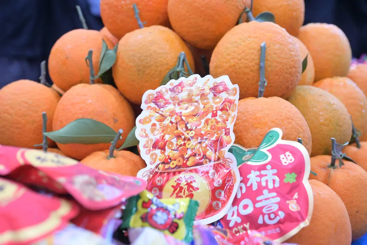 圖片來源:花蓮縣政府