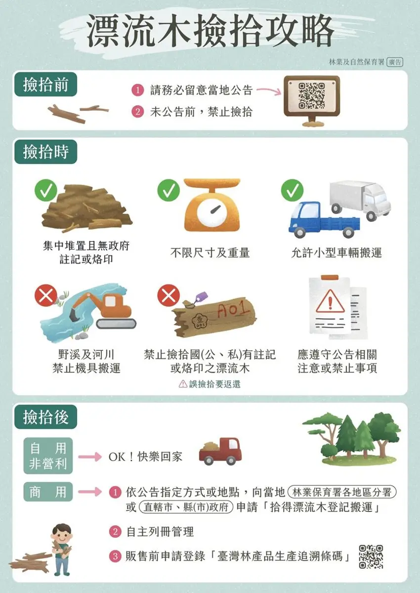 花蓮「漂流木」開放撿拾!縣府公告:即日起不限尺寸、可用鏈鋸裁切