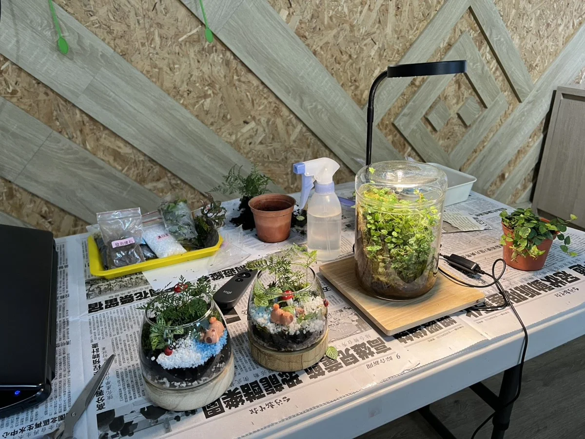 圖片來源:花蓮縣政府