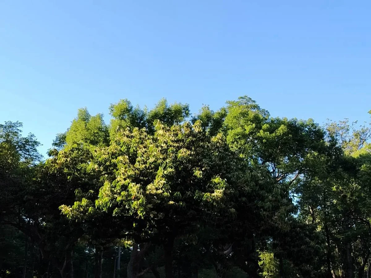 圖片來源:臺北市政府