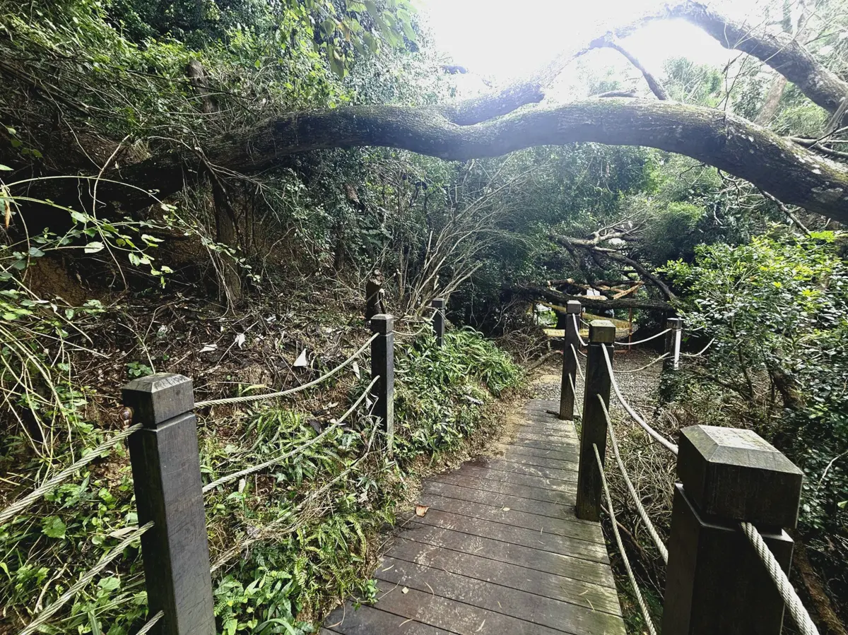 登山客注意!台中大坑6條步道封閉施工 觀旅局:去年風災受損嚴重、切勿擅闖