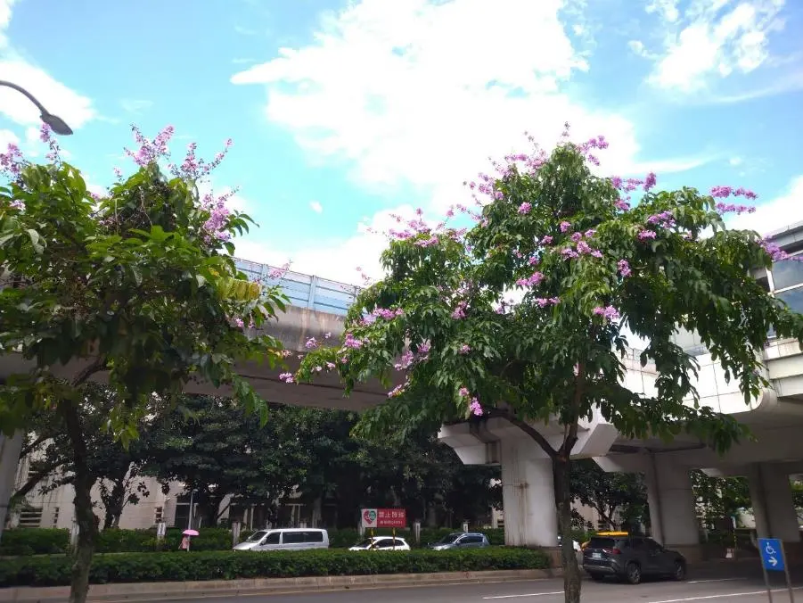 圖片來源:臺北市政府
