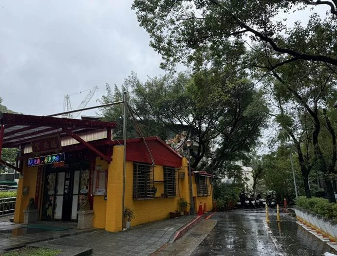 防範薔琵颱風!文山區木柵公園旁榕樹恐傾倒 公園處火速修剪護民宅