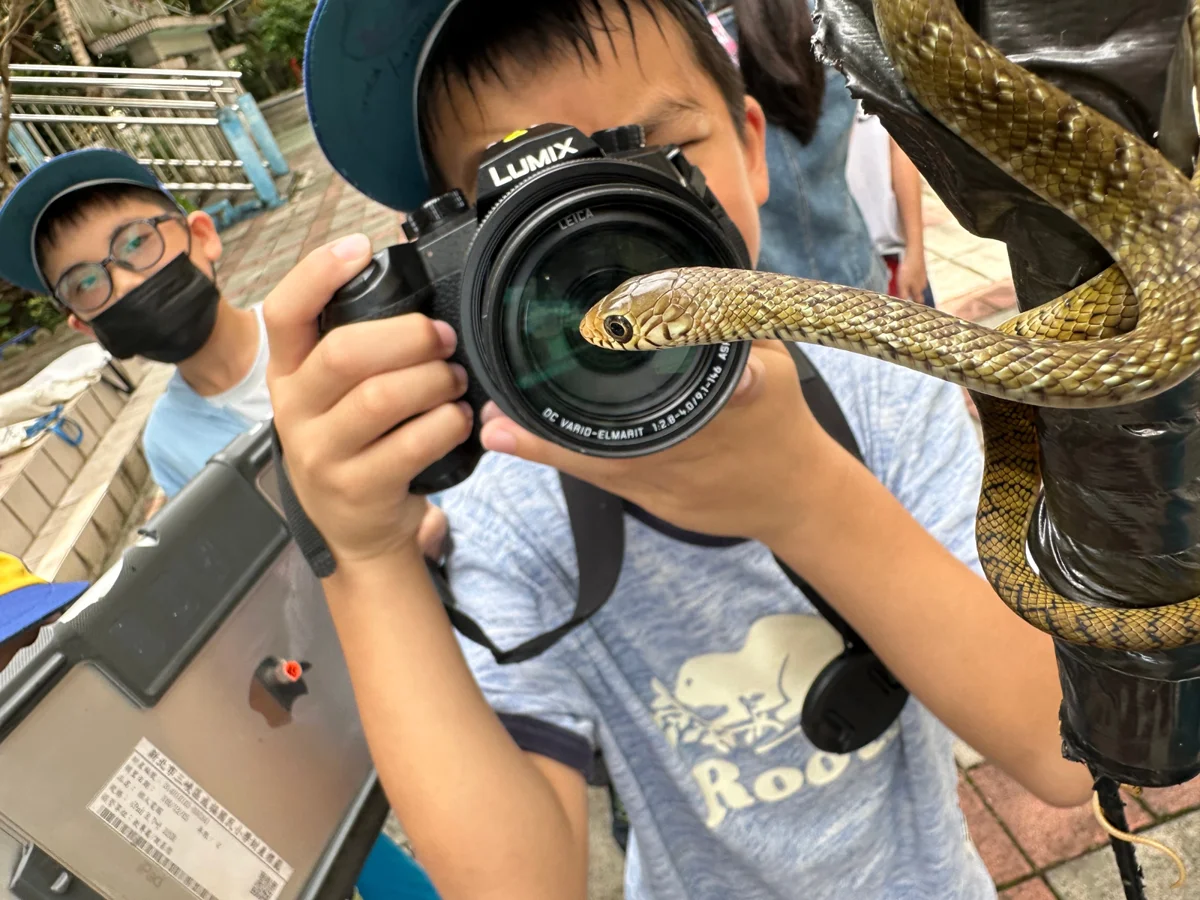 圖片來源:新北市政府