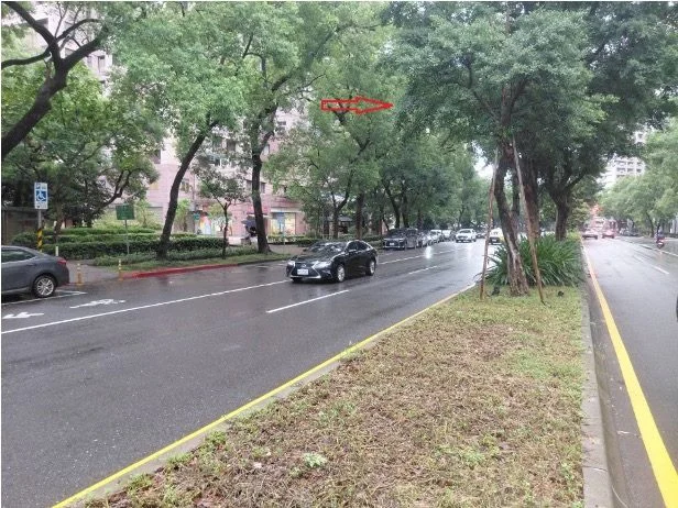 六張犁路樹遭砍?北市公園處澄清:為護行人安全已移植松德路