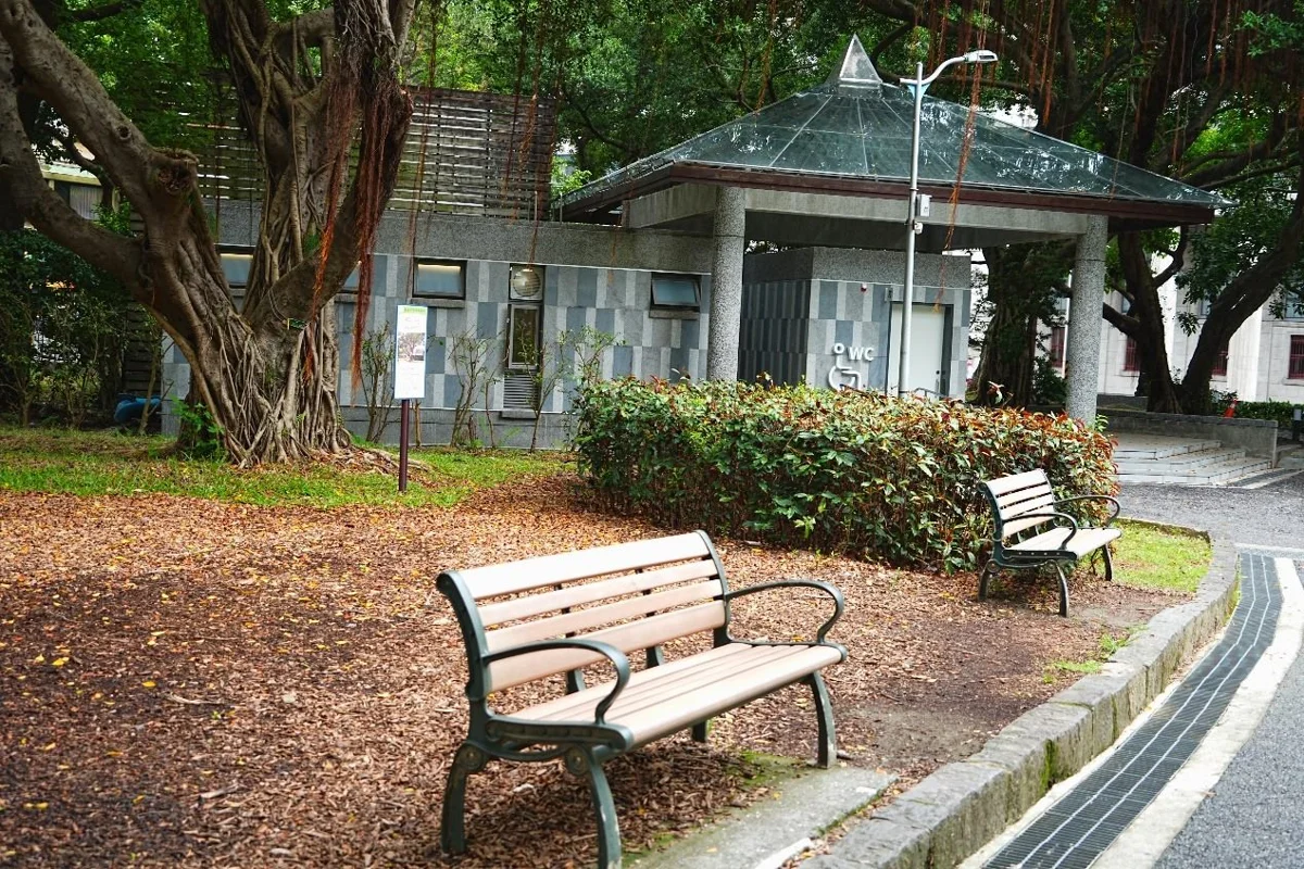 告別陰暗潮濕!二二八公園3號公廁絕美變身 採光升級更友善