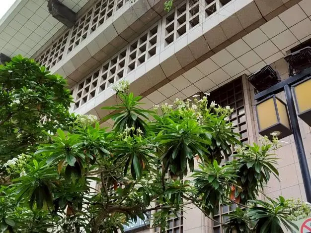 圖片來源:臺北市政府