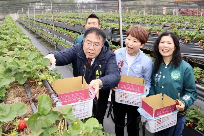 圖片來源:臺南市政府
