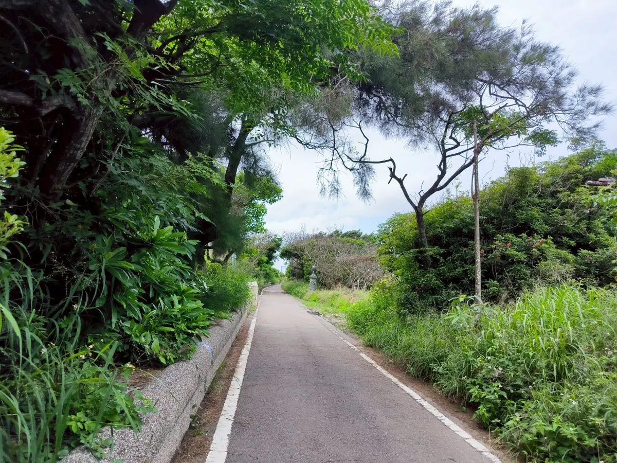 圖片來源:新竹市政府
