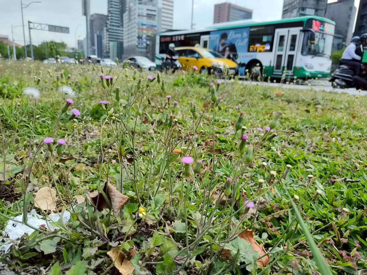 圖片來源:臺北市政府