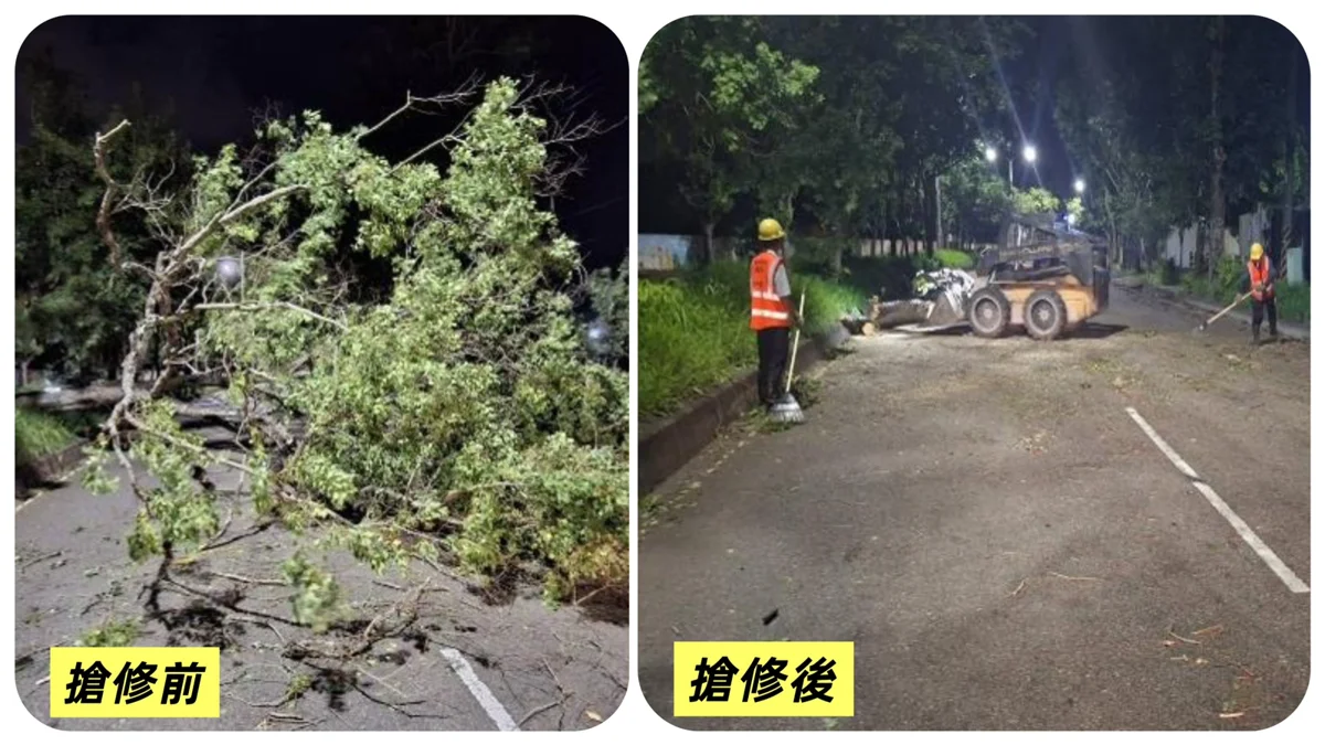 台中挺過巴威颱風!355件災情全數排除 市區亮點公園恢復開放