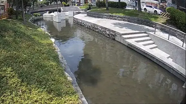 綠川景觀變差是為省錢?中市水利局澄清:永續治理非打造人工景觀