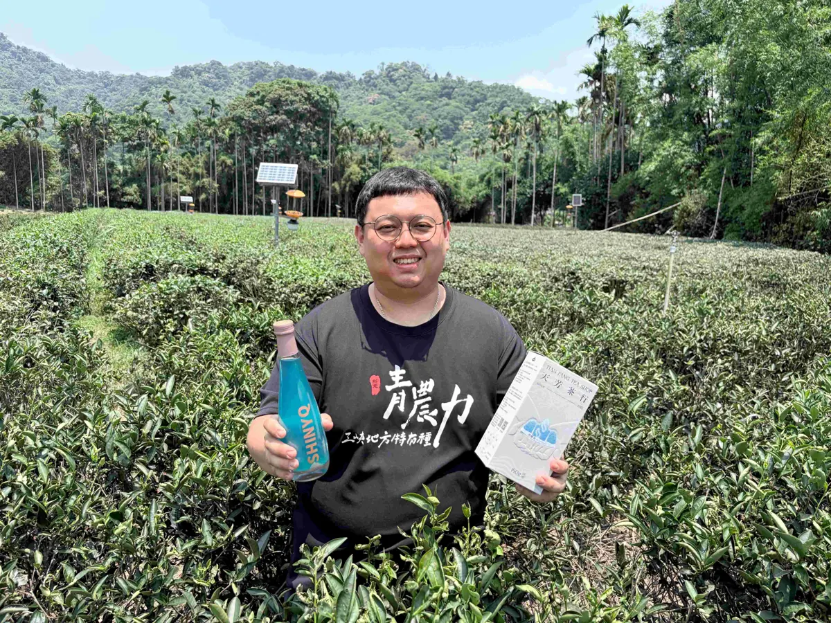 圖片來源:新北市政府