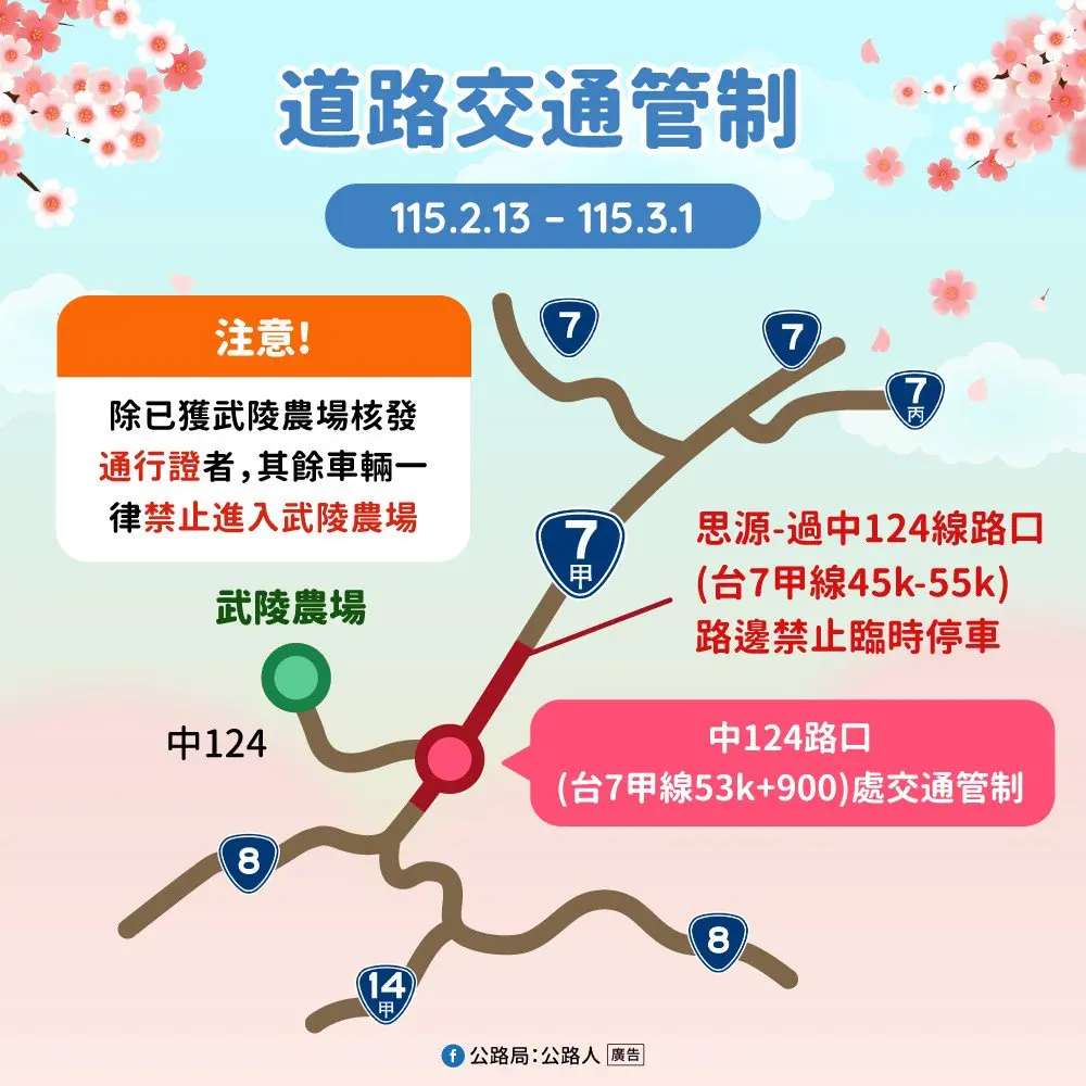 武陵櫻花季最後一週!沒買到聯票別慌 交通局曝「上山秘訣」照樣賞櫻
