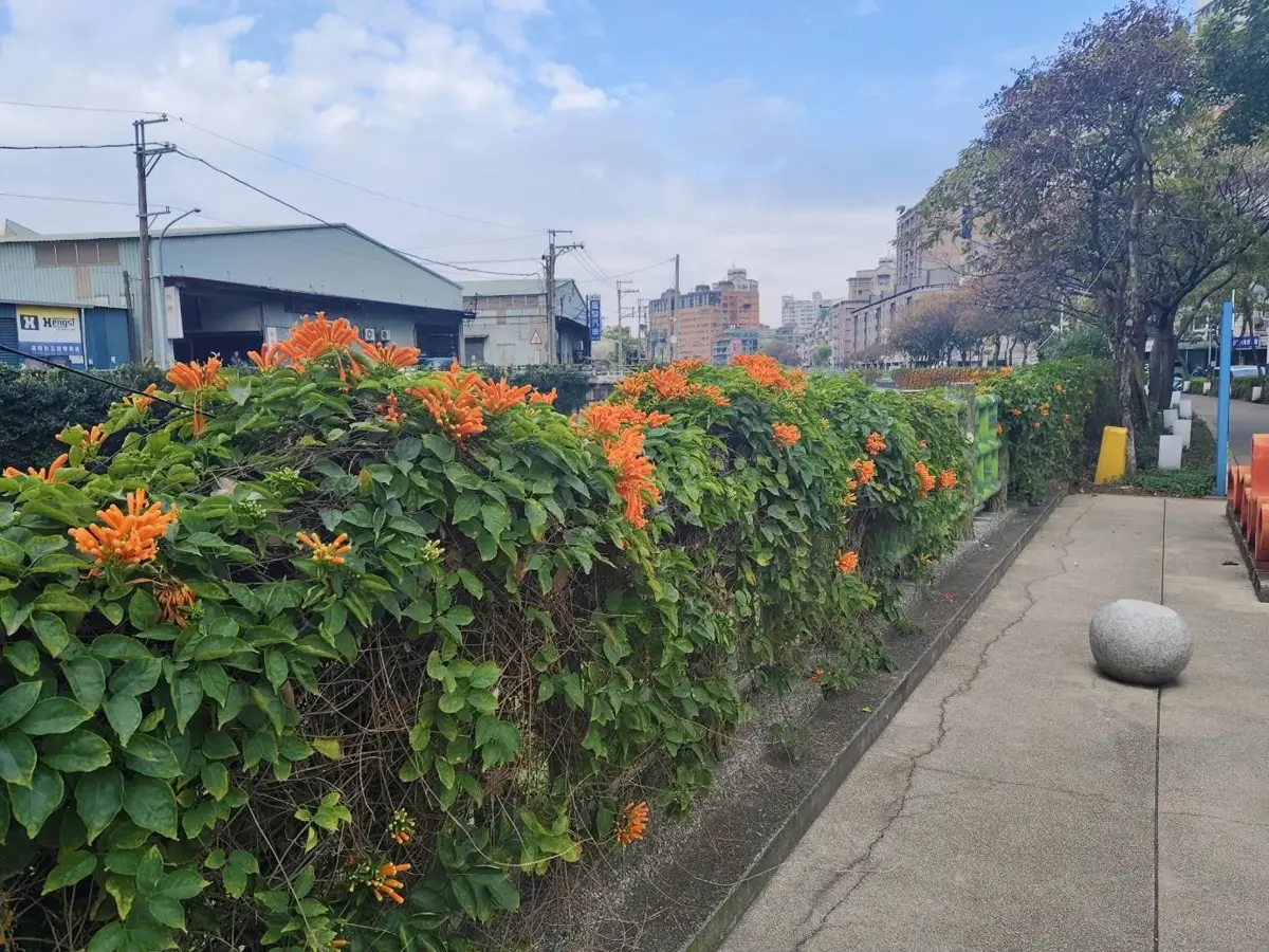 圖片來源:新北市政府