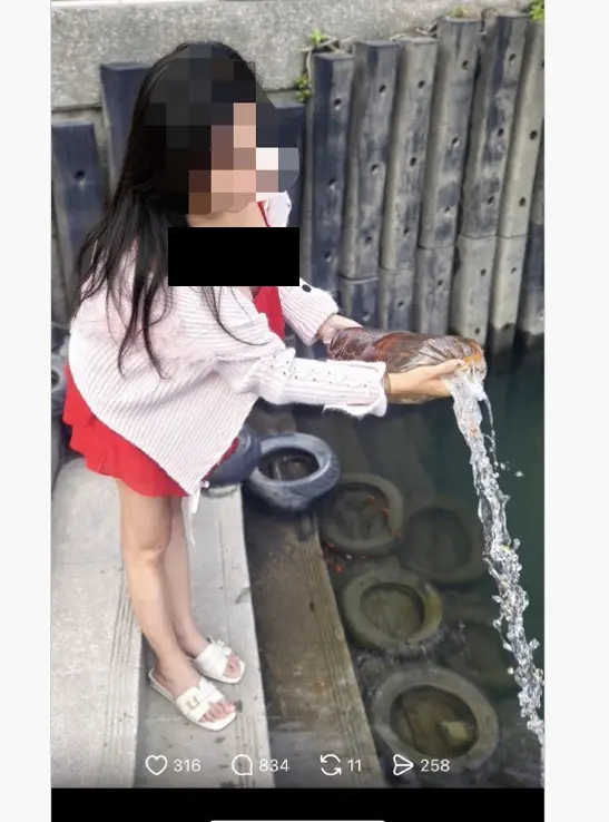 圖片來源:新北市政府