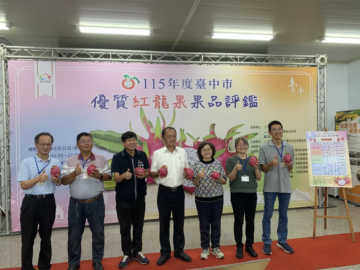 台中紅龍果王出爐!外埔徐健勝奪冠 爽脆白肉紅龍果正著時