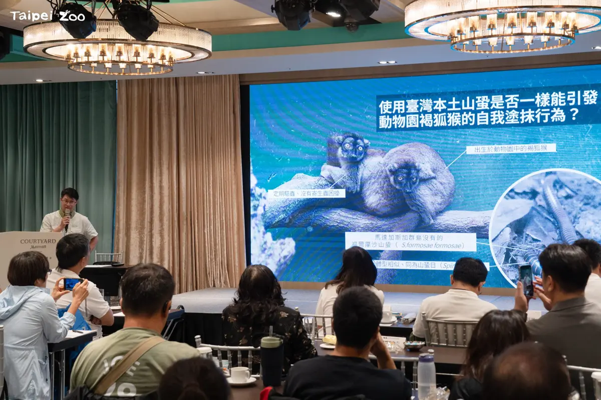 圖片來源:臺北市政府