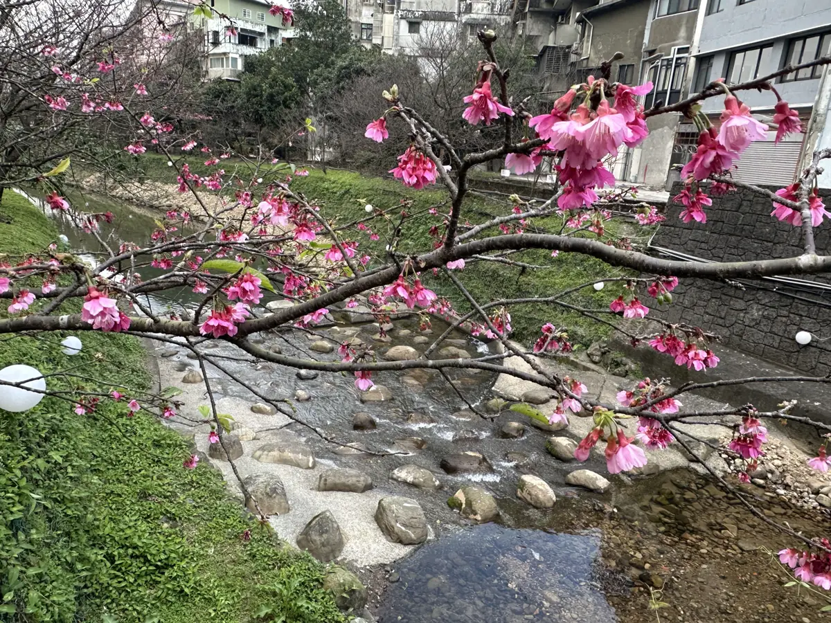 圖片來源:新北市政府