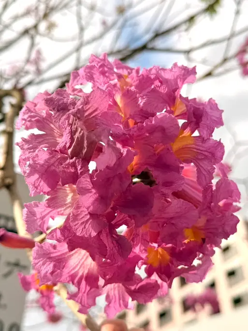 圖片來源:臺北市政府