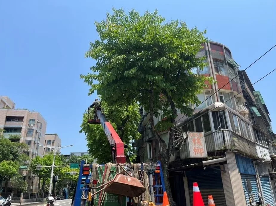 圖片來源：臺北市政府