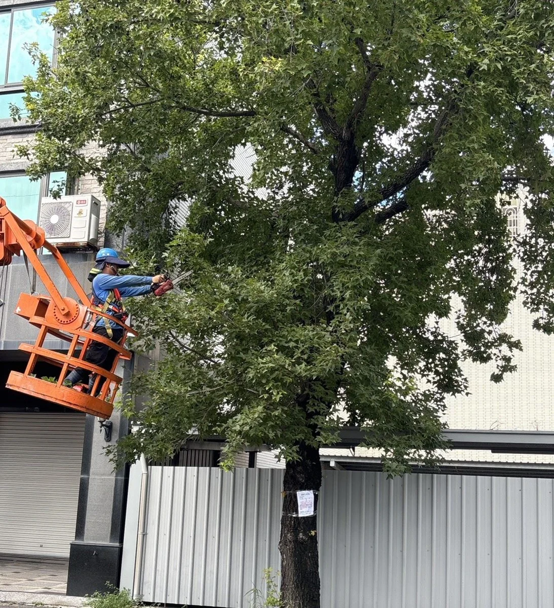 圖片來源:高雄市政府