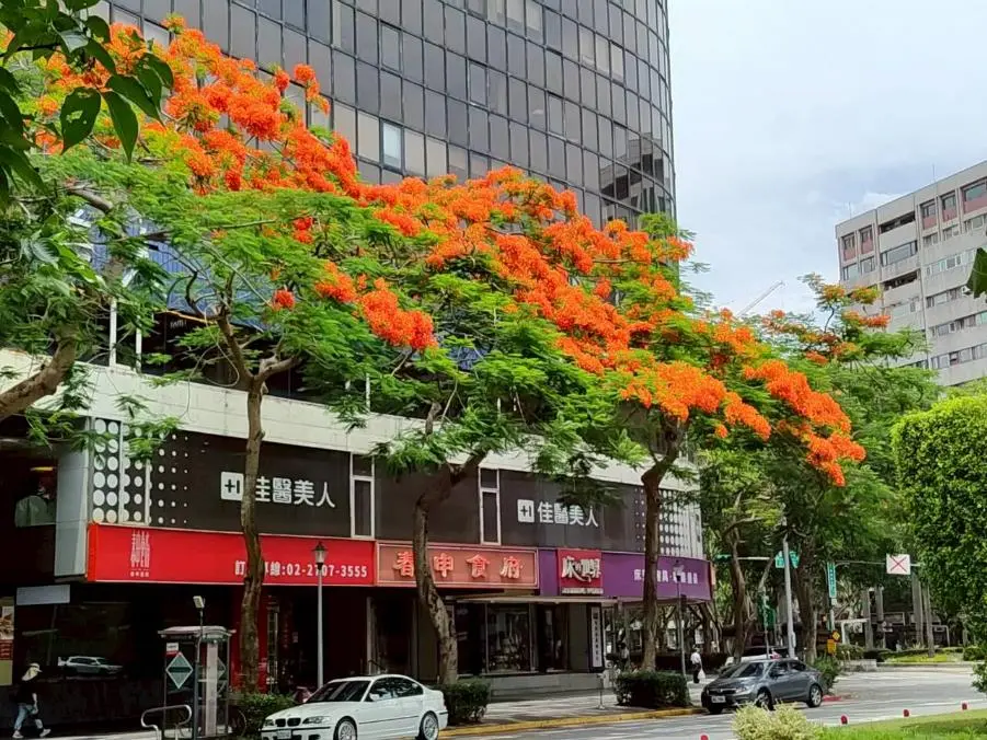 圖片來源:臺北市政府