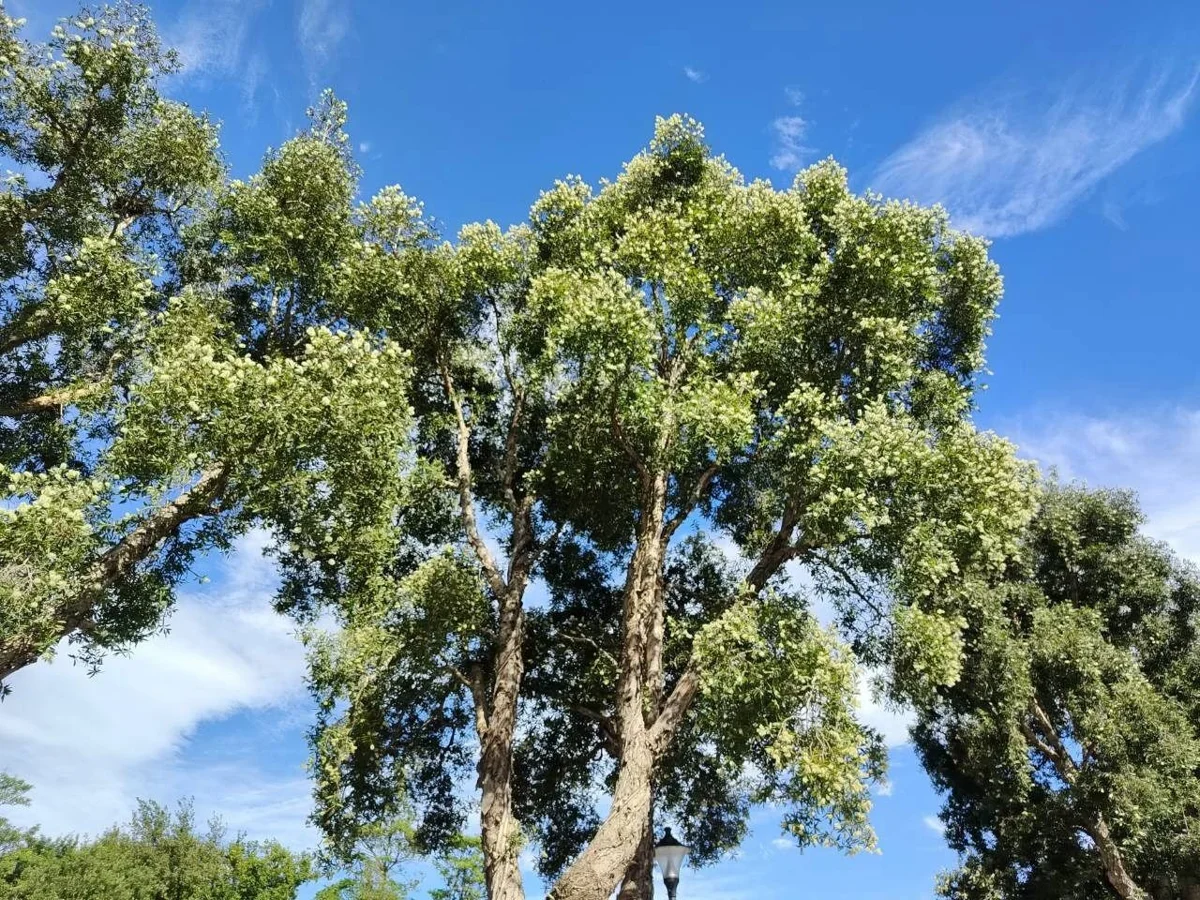圖片來源:臺北市政府