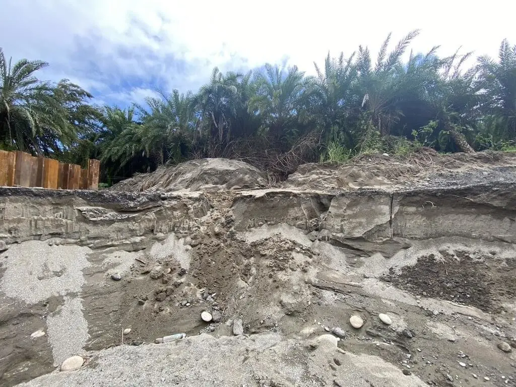 花蓮縣道193線疑似靜浦文化遺址出土!考古試掘將啟動!