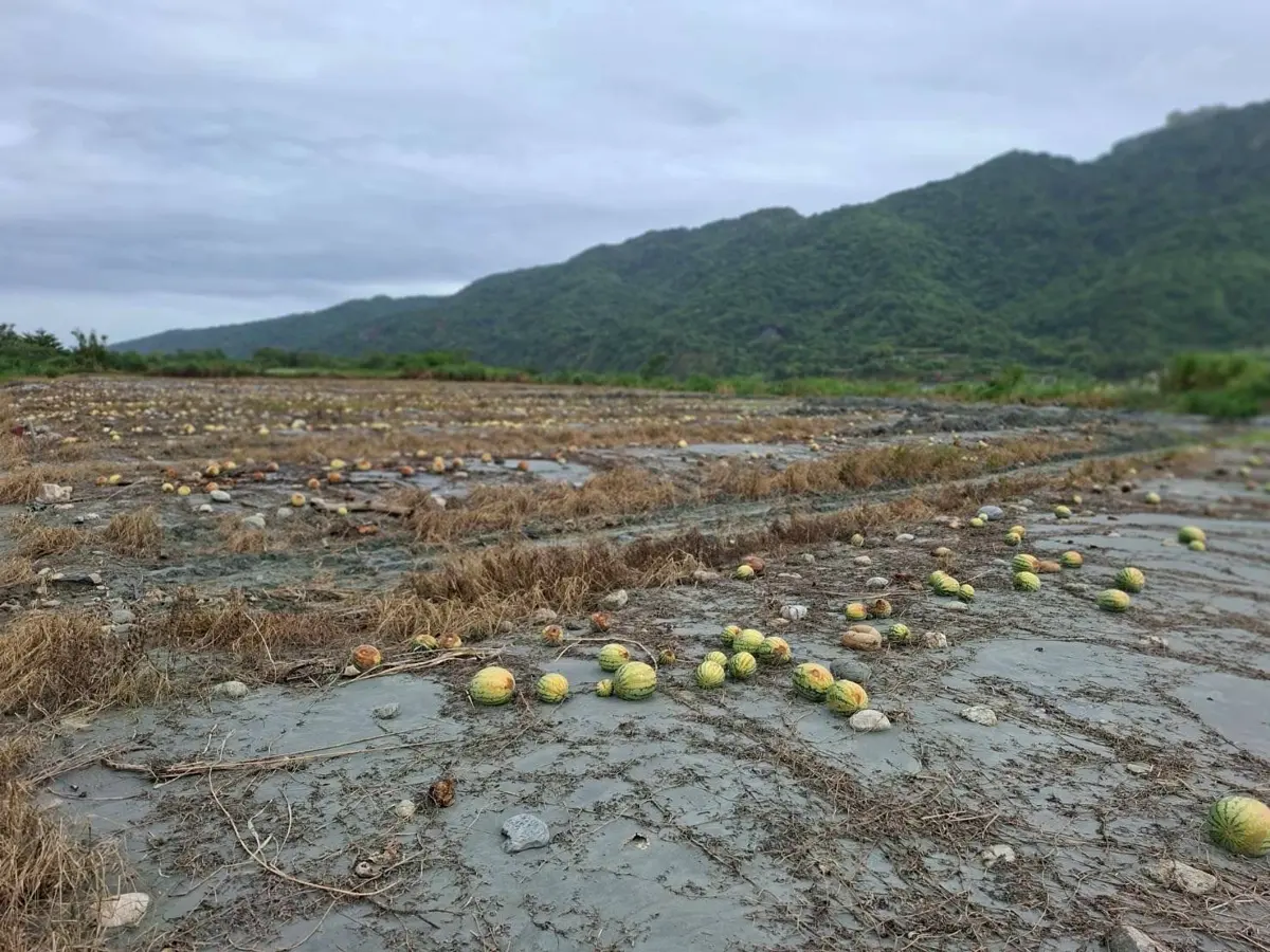 圖片來源:花蓮縣政府