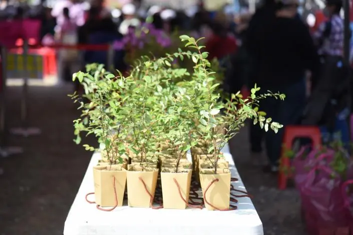 圖片來源:苗栗縣政府