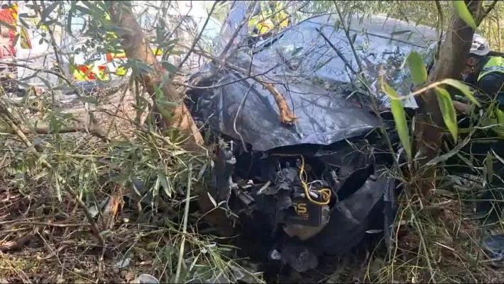 苑裡櫻花大道驚魂!轎車墜邊坡 母親骨折受困、3童嚇壞