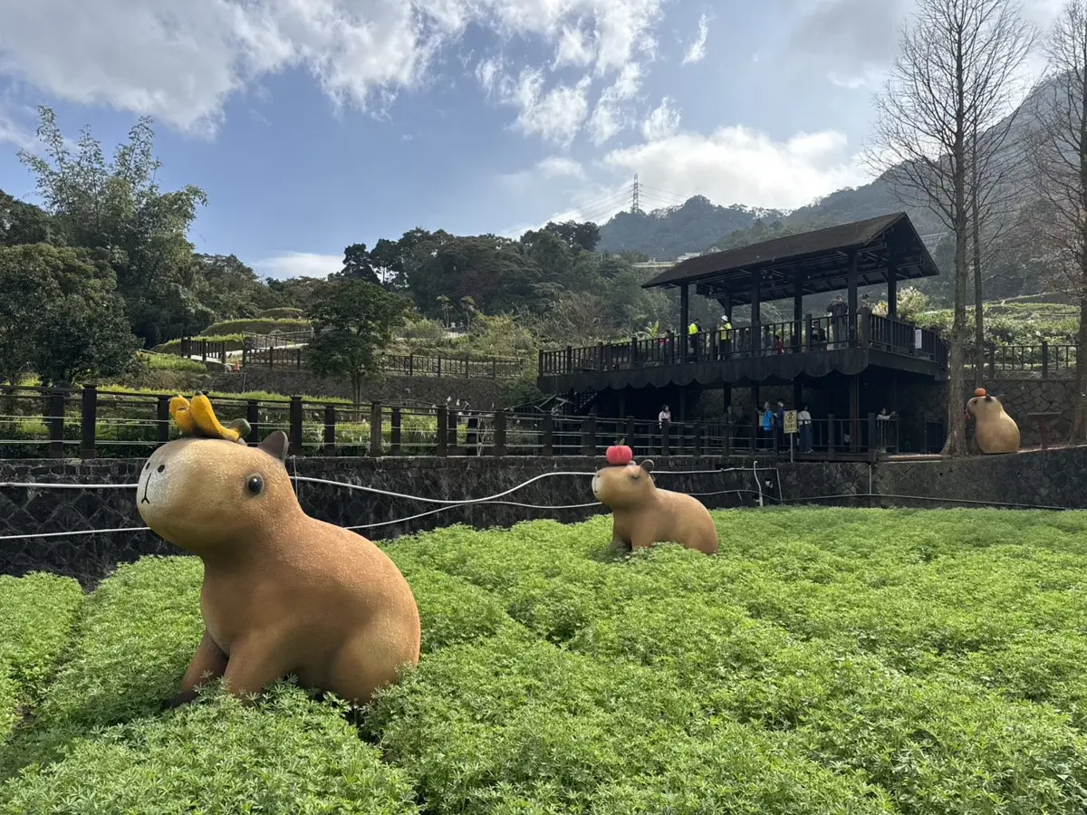 圖片來源:臺北市政府