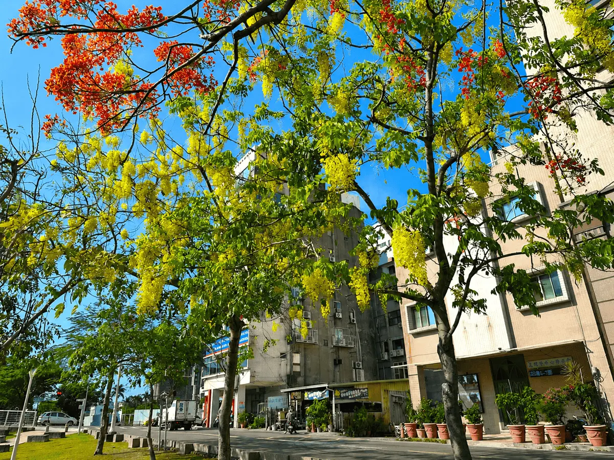 圖片來源:高雄市政府