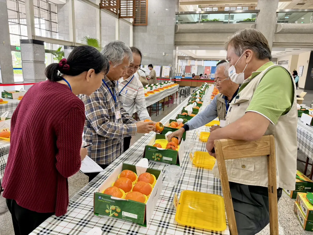 圖片來源:臺中市政府